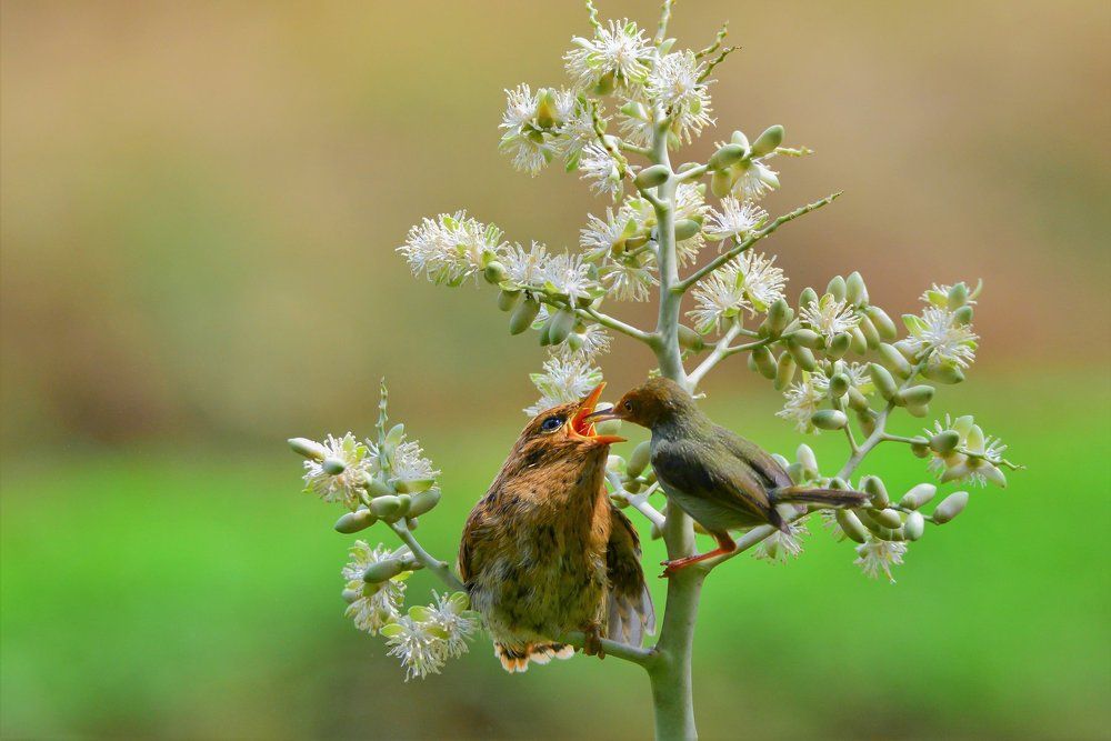 breakfast with mother in law