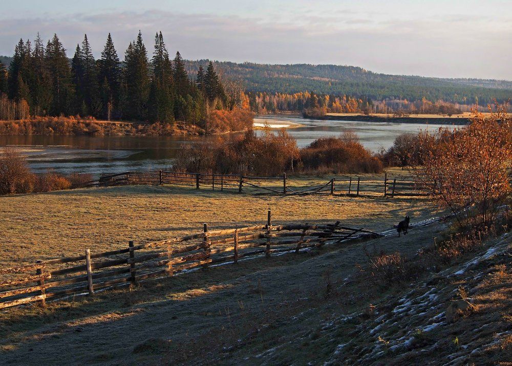 Прохладным утром на реке...