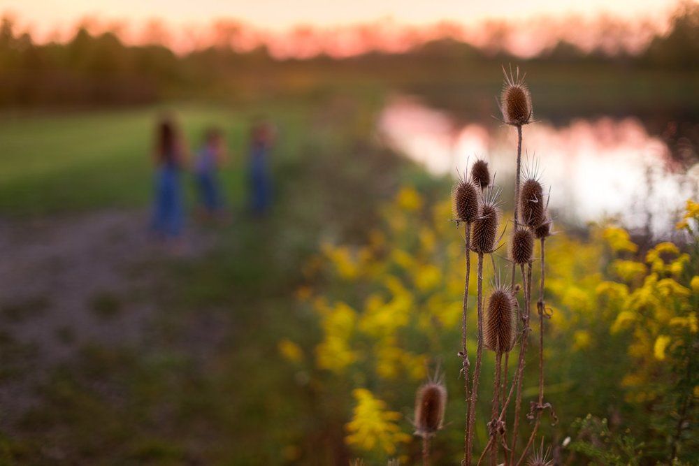 Photograph by Elena Kolomytseva