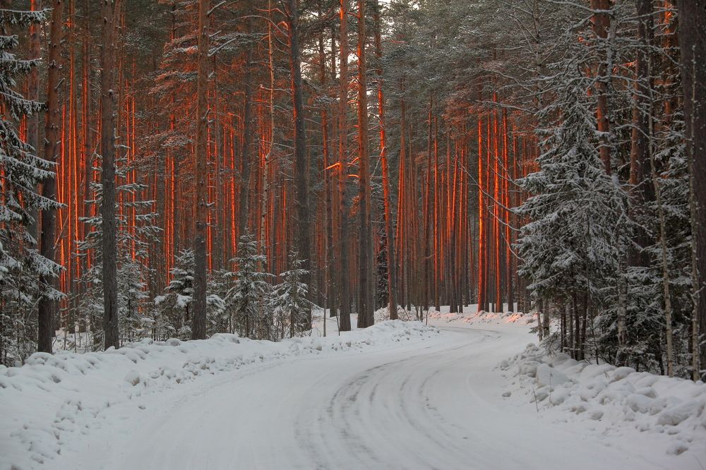 дорога домой