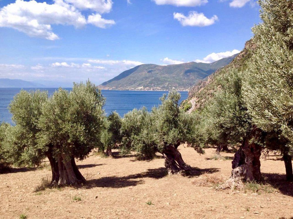 С высоты тысячелетия.