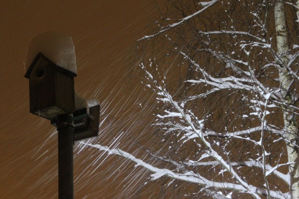 Дом ждёт весны