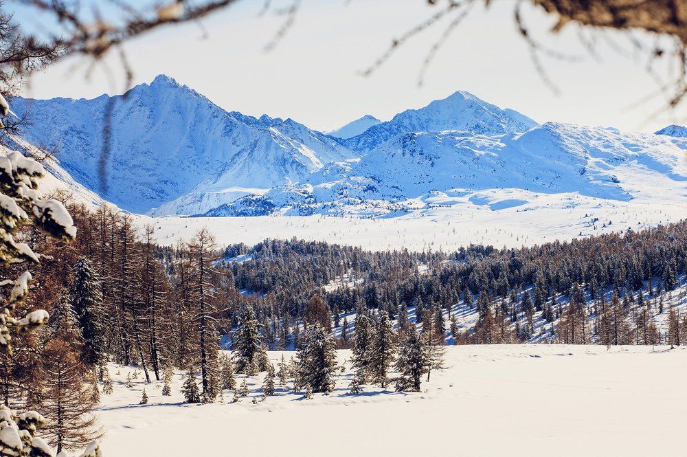 Курайский хребет