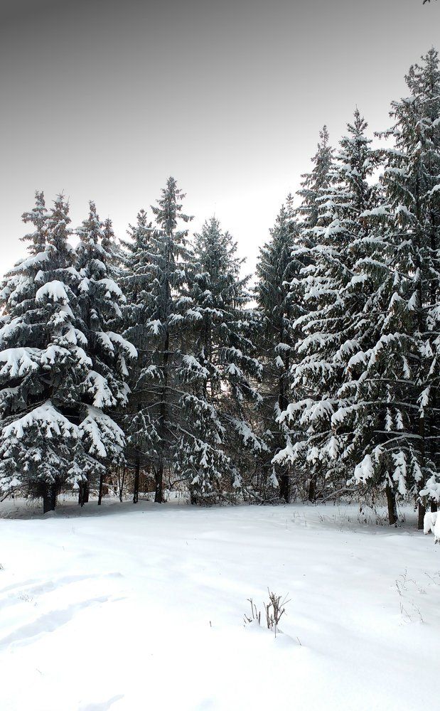 Photograph by Мишина Надежда