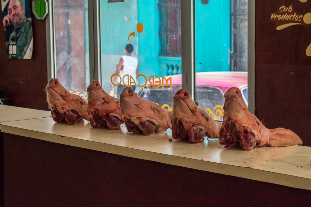 Ассортимент