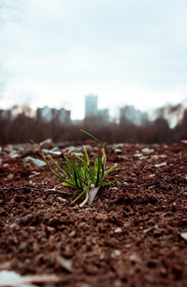 Стремление