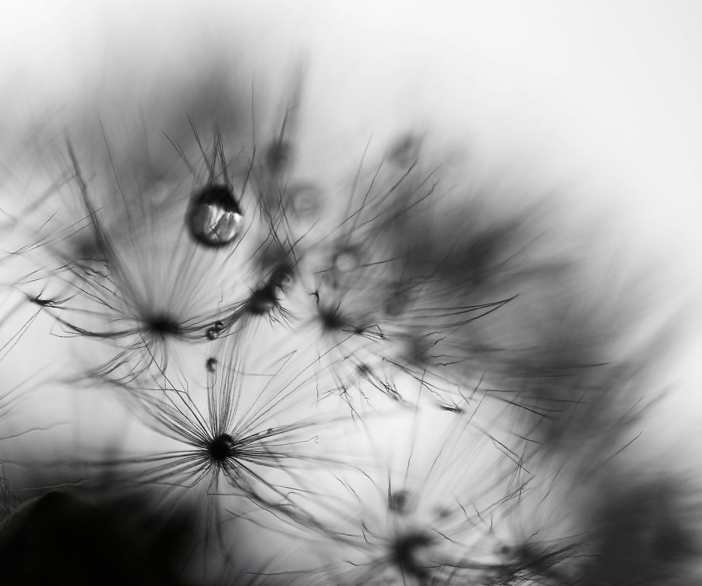 Незримые нити