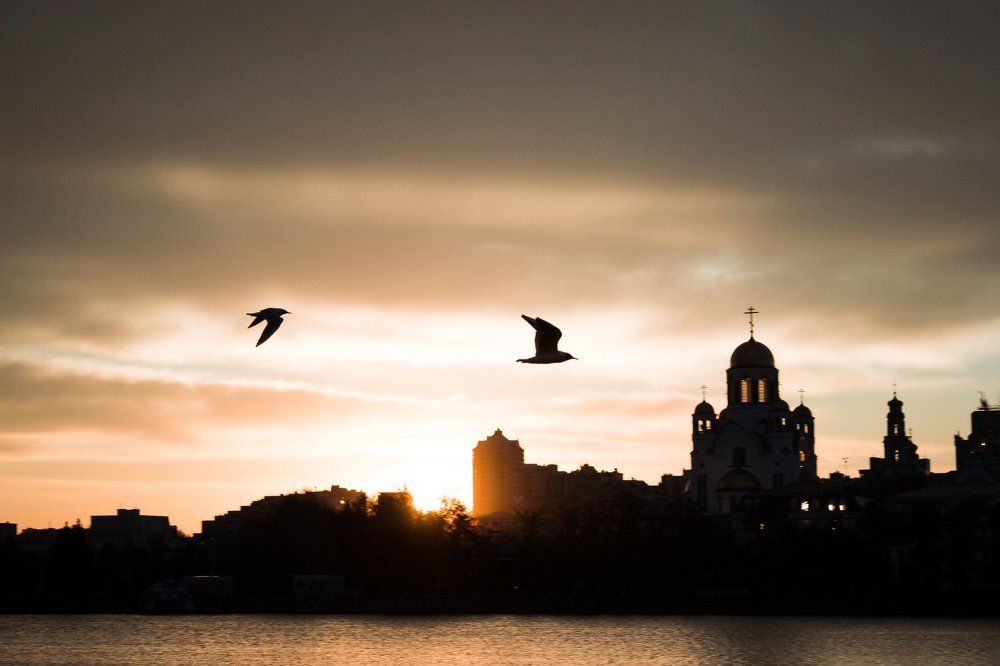 Золотой рассвет