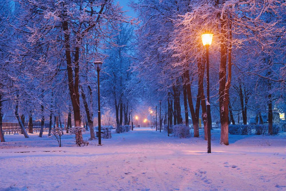 Последний первый снег №2