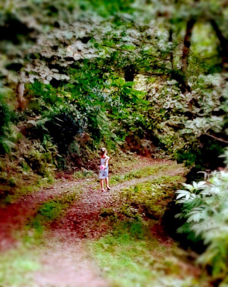 Фотография автора Olesya Kiknadze