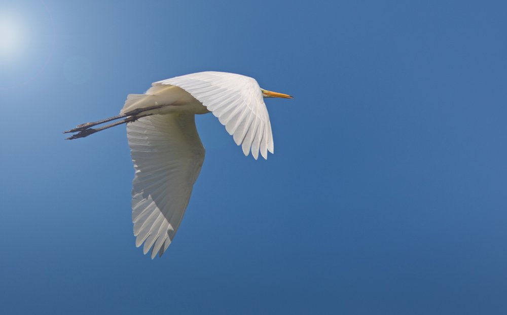 Photograph by Марина