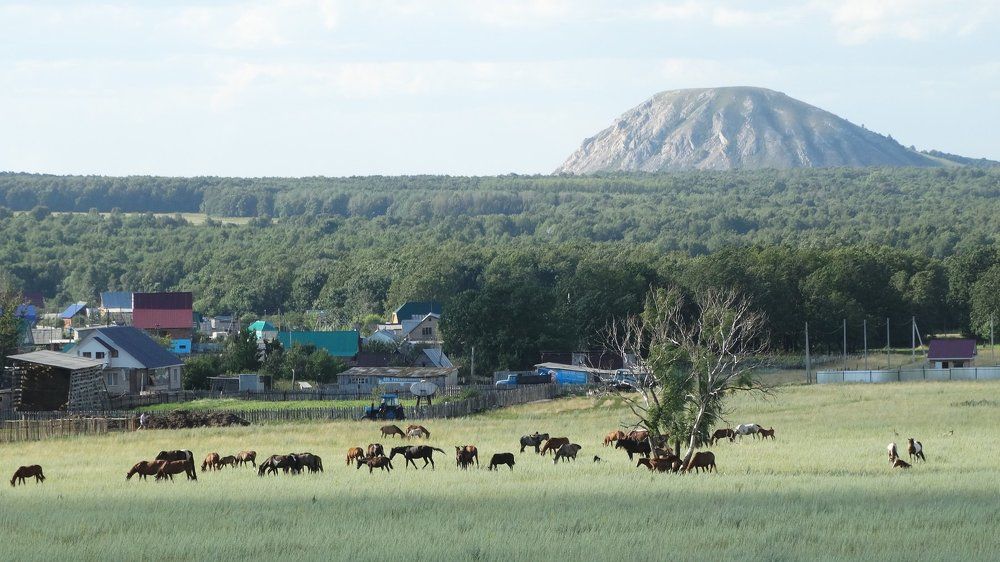Башкирия моя, прекрасней нет тебя!
