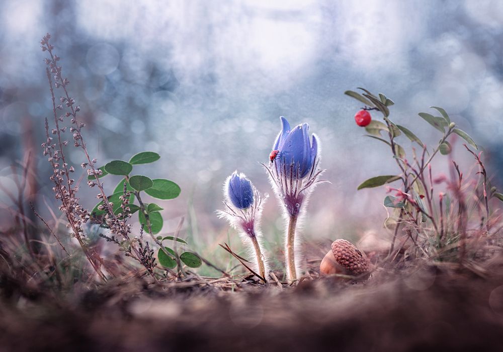 я видел нежность...