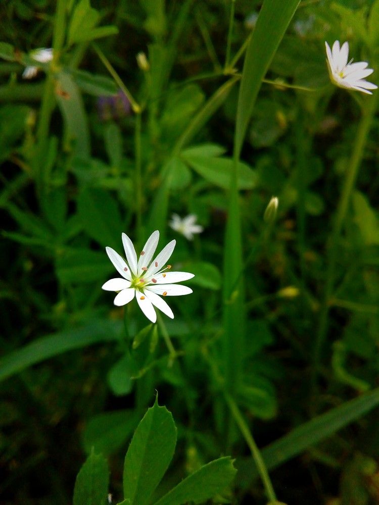 Photograph by Кристина