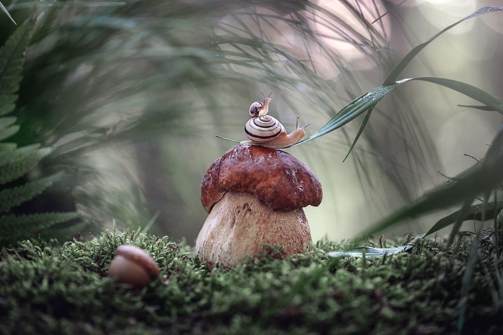 В поисках приключений