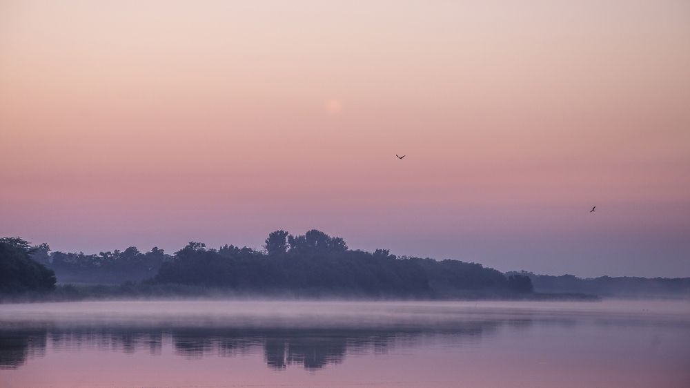 Розовая дымка