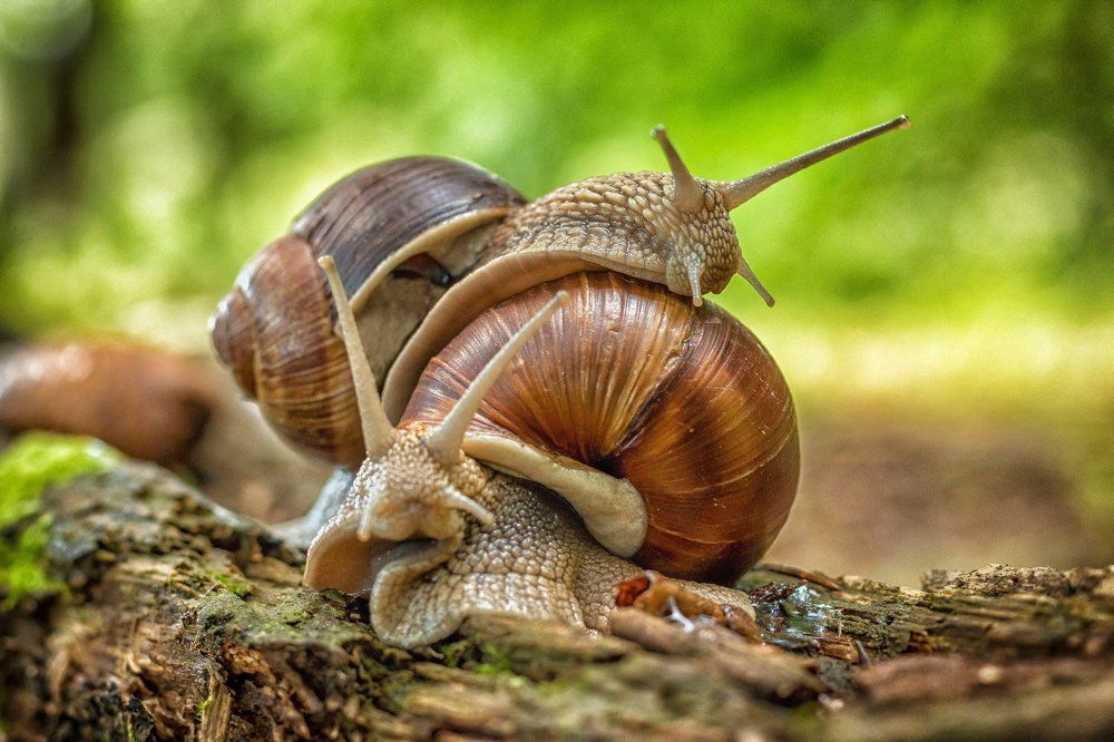 Photograph by Владислав Мотузенко