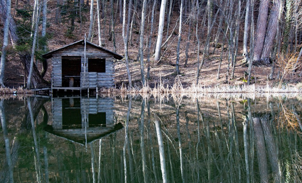 Черепашье озеро
