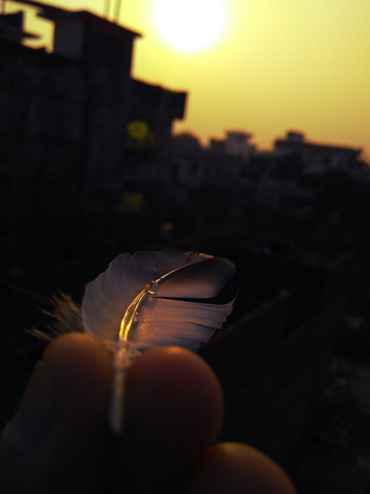 Feather droplets