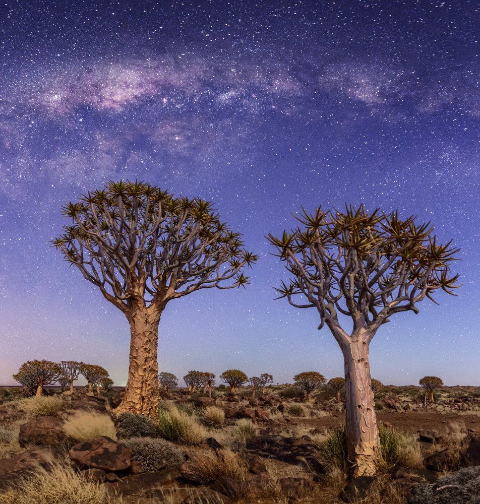 Белые ночи Намибии