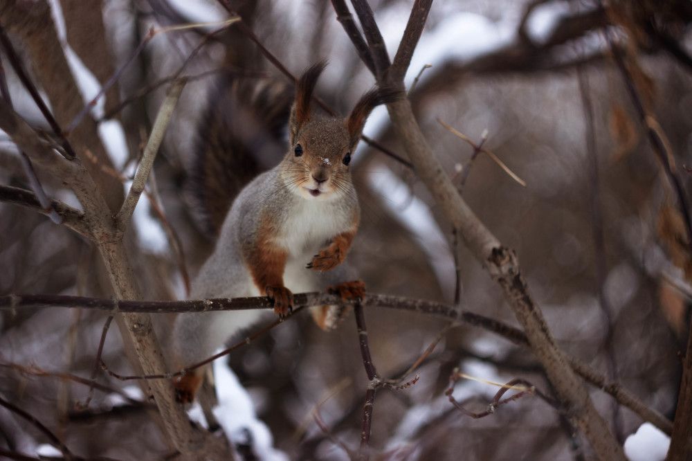 Привет дружище