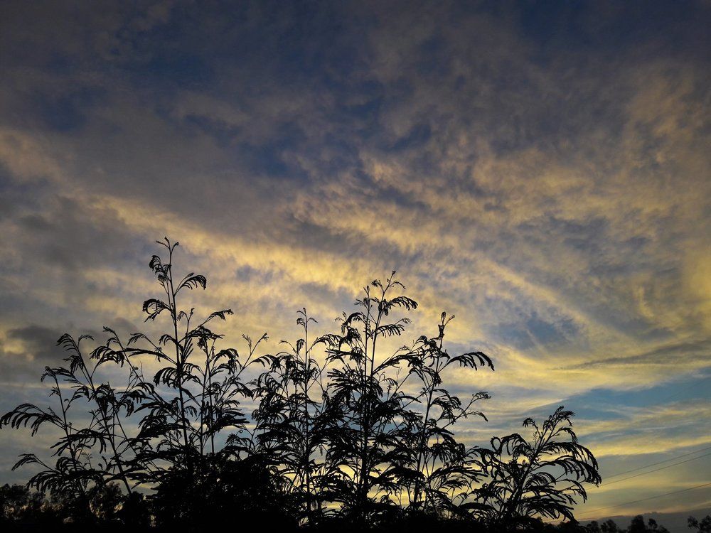 nature the power