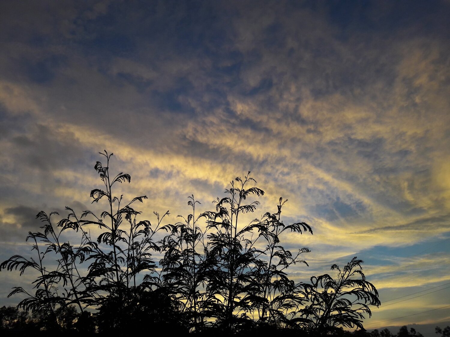 nature the power