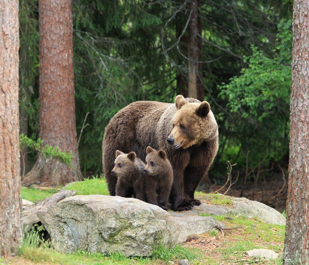 Улыбочку, дети, нас фотографируют