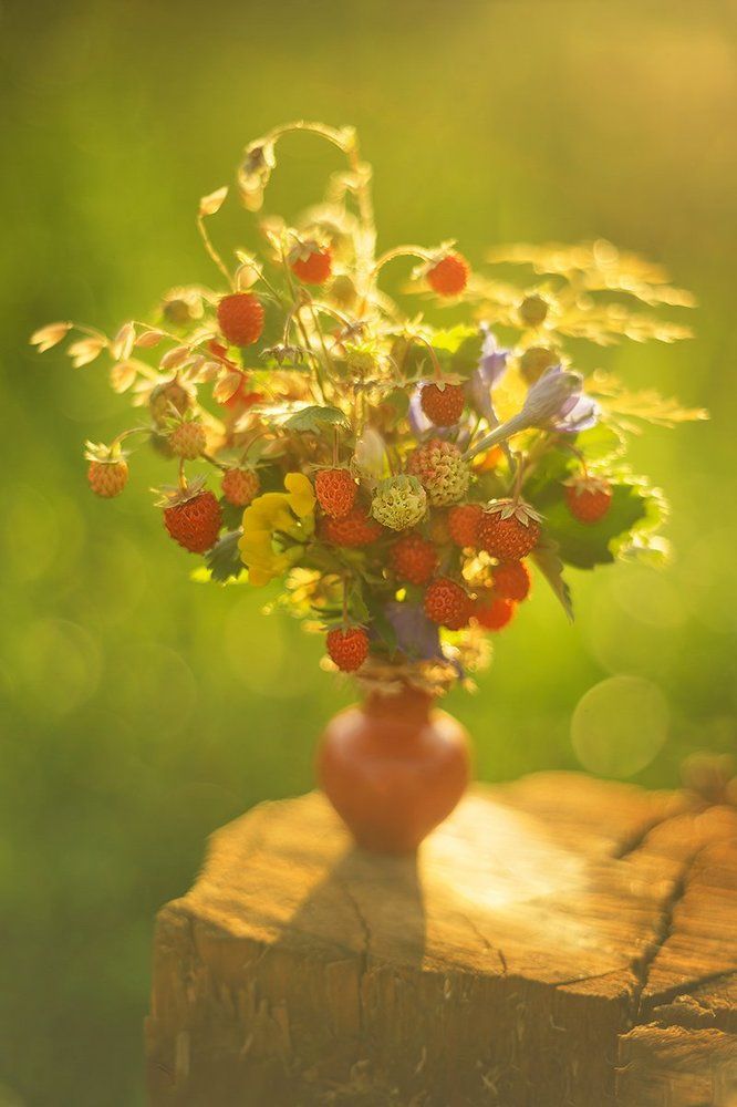 Макро-букет