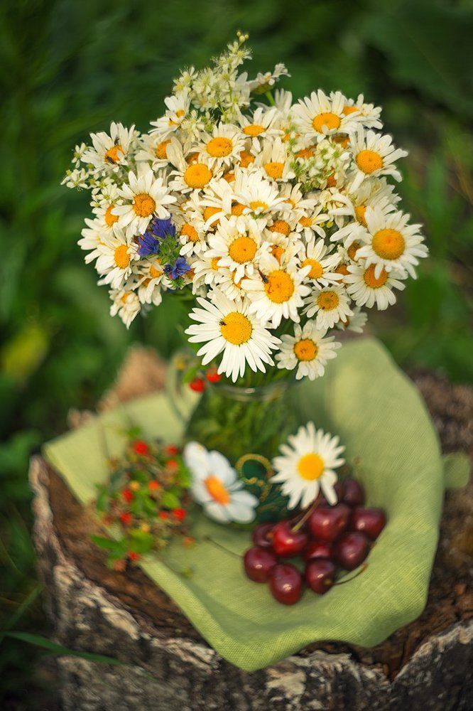 Натюрморт с  ромашками и вишней