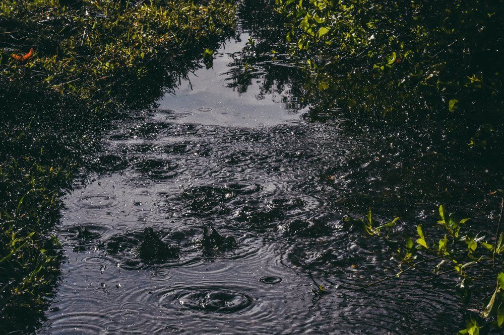 water droups