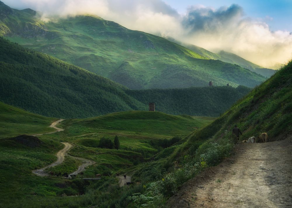 В горах Грузии