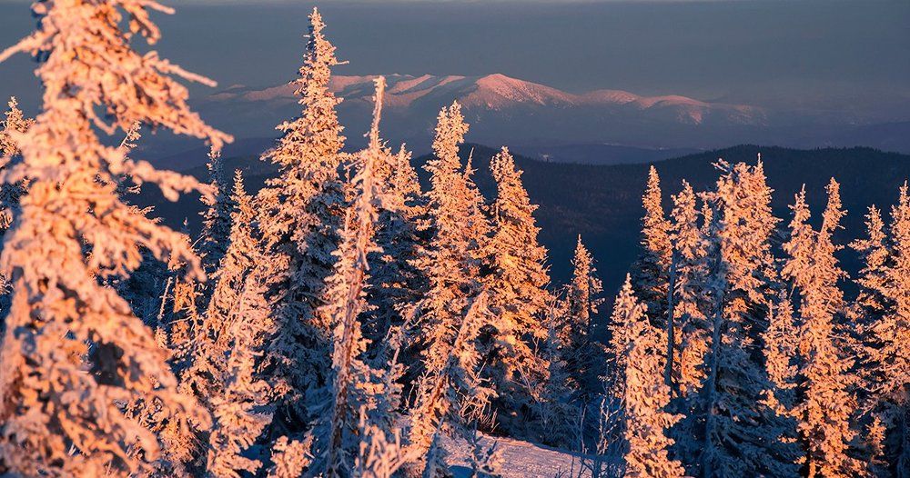 Розовый вечер в предгорьях Алтая