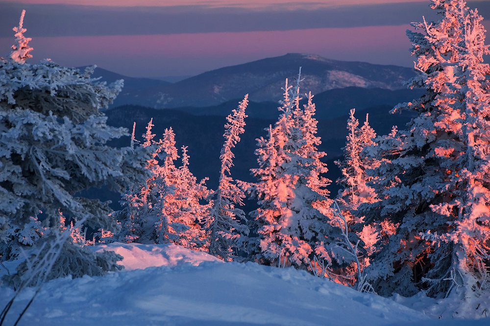 Розовое на синем