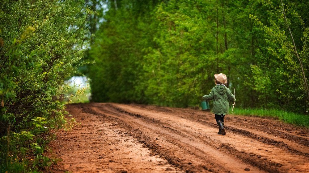 Photograph by Евгений Швец