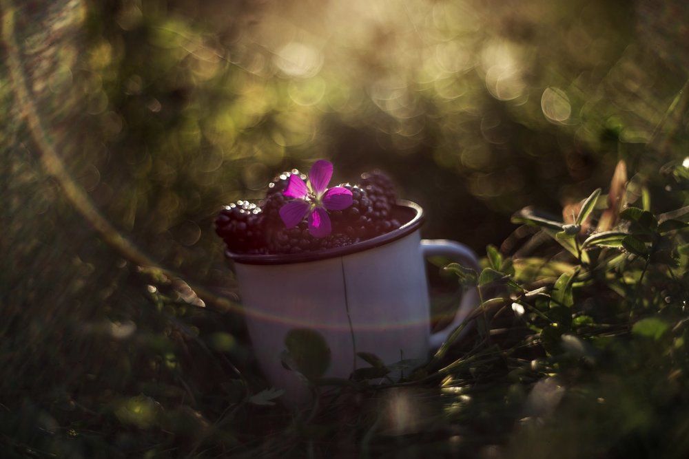 Тысяча сияющих солнц