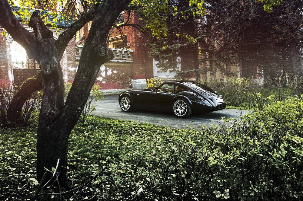 Wiesmann in Petergof