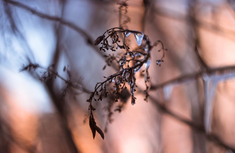 Застывшее мгновение