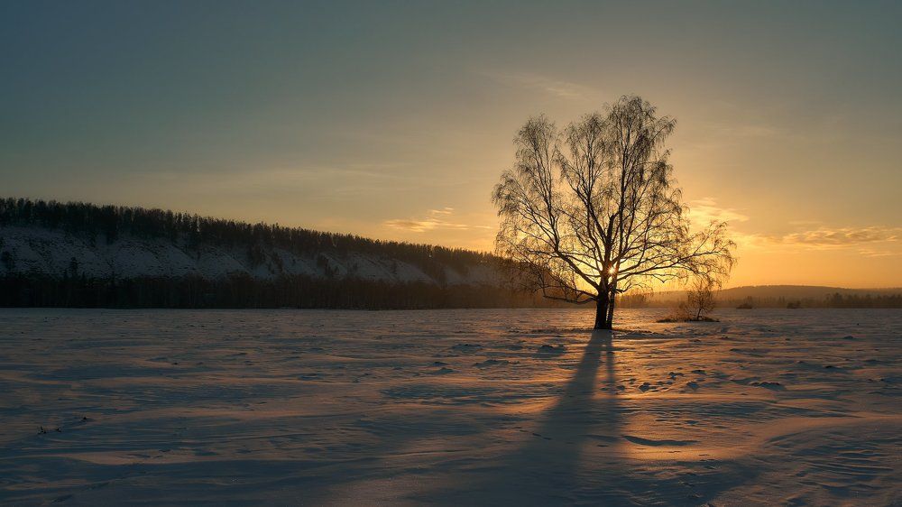 Утро рождественской ночи....