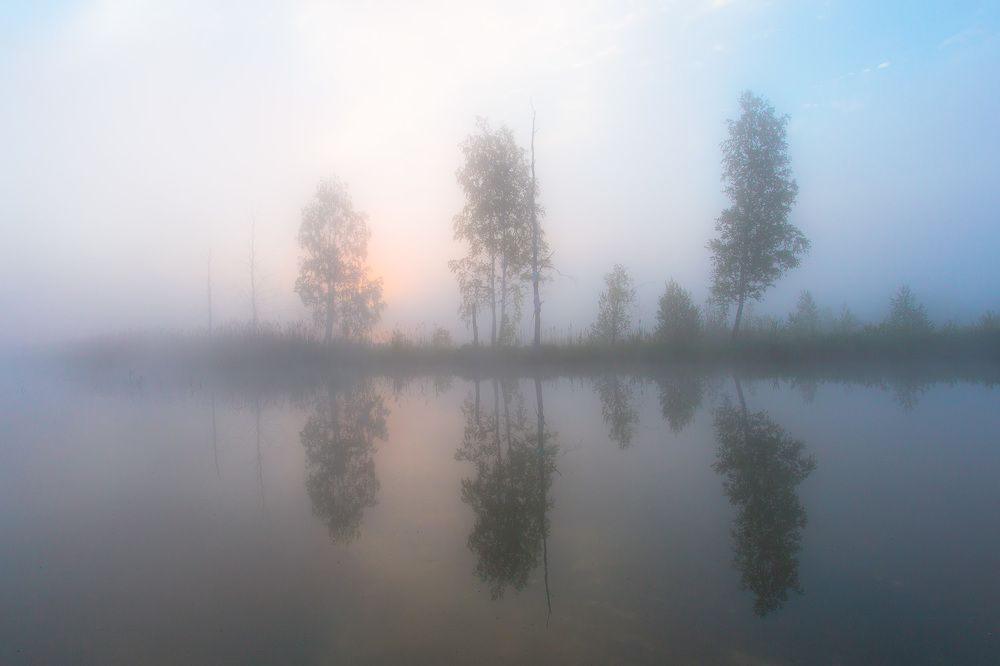 Сквозь туман