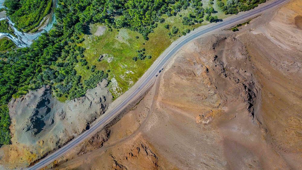 Живое и мертвое...