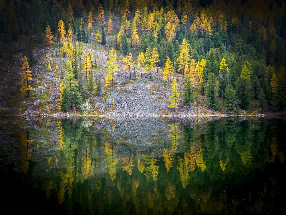 Геометрия Алтая