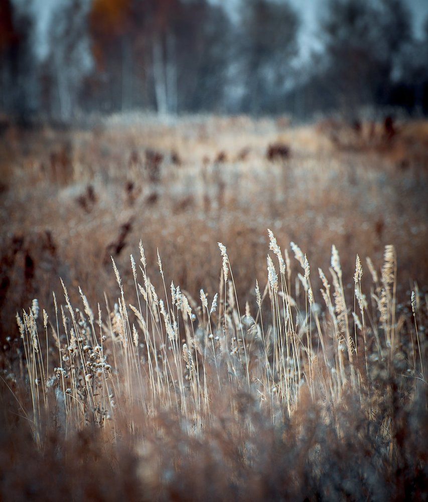 Поздняя осень прииртышья.