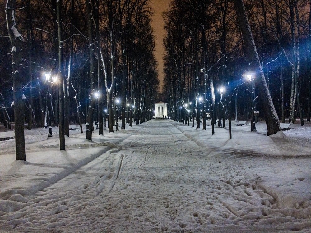 Зимняя ратонда