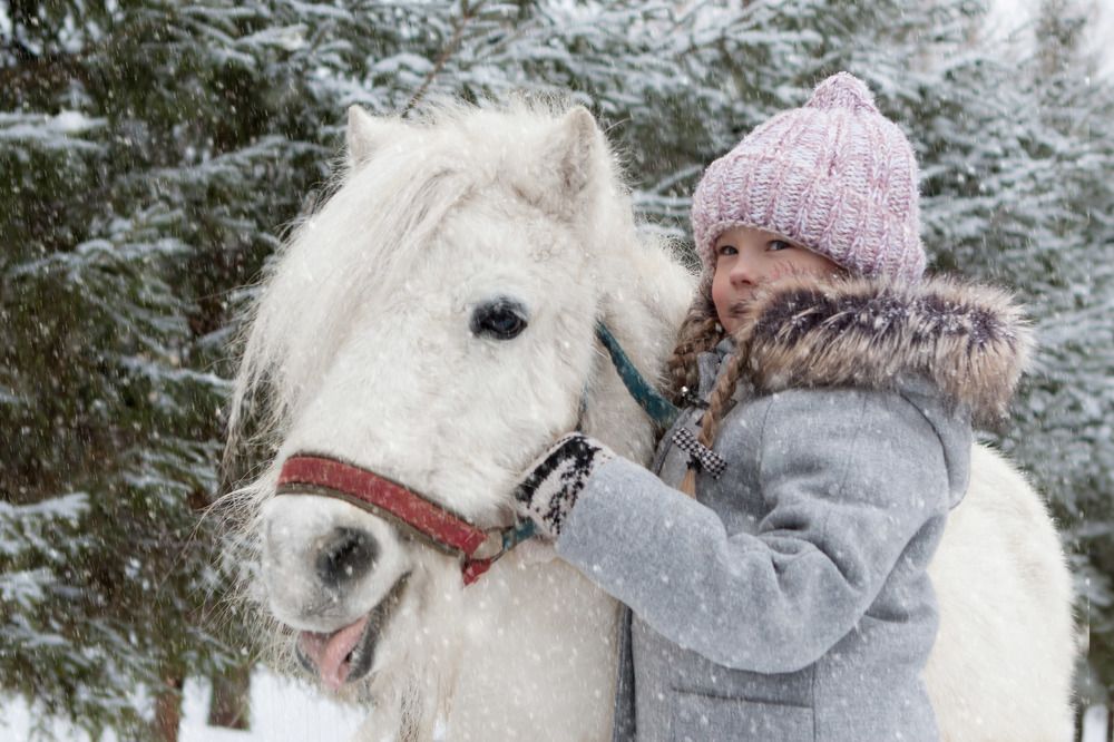 Девочка и пони