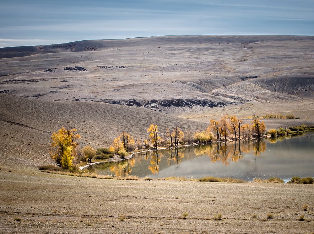 Осенний минимализм