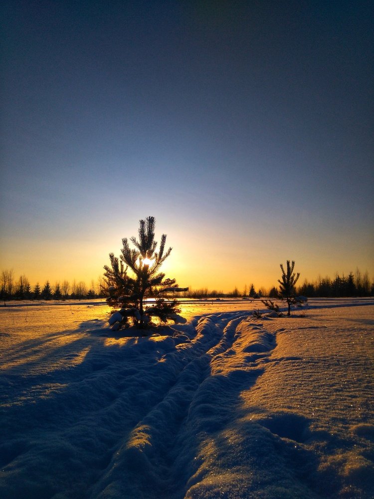 Photograph by Боталова Ксения