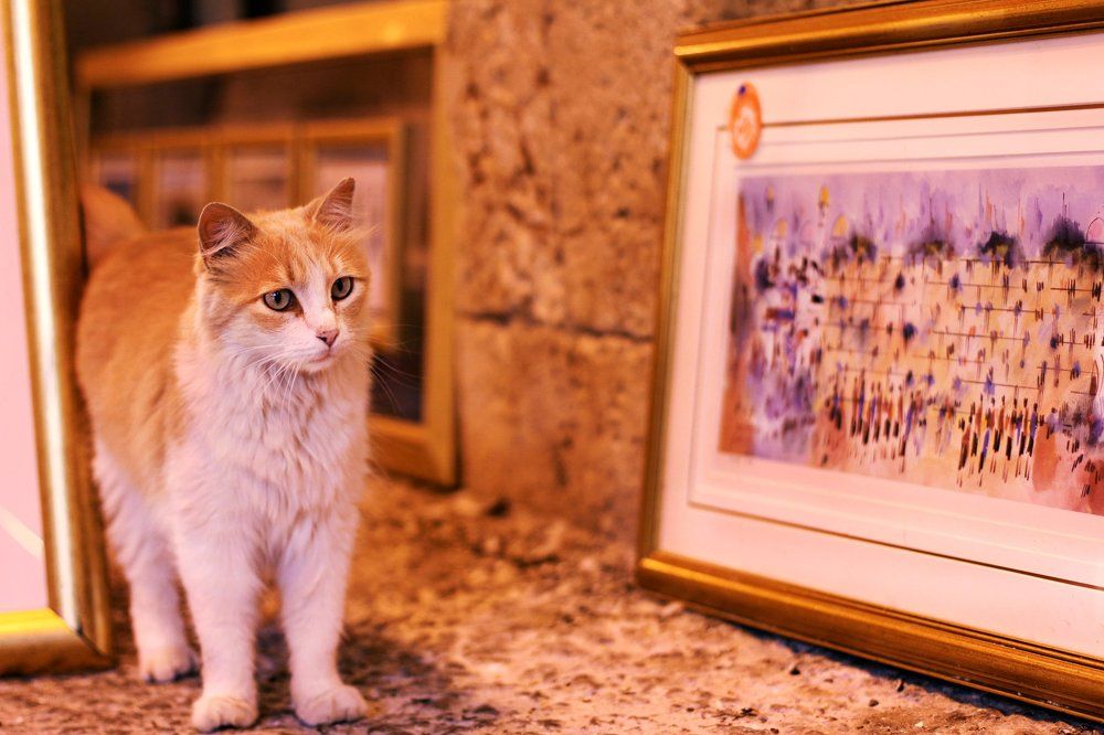 Искусствовед