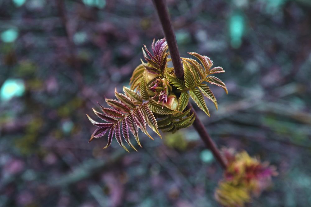 Photograph by Ольга