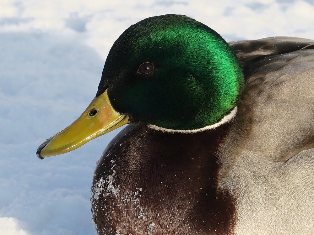 Photograph by Ольга